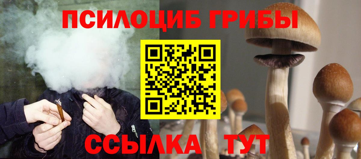 Псилоцибиновые грибы прущие грибы Мегион